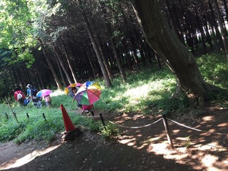 3CE1956D-8EE8-45CC-BC39-C83AB7E6129A.jpeg
