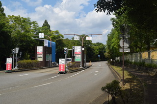 DSC_0650.JPG