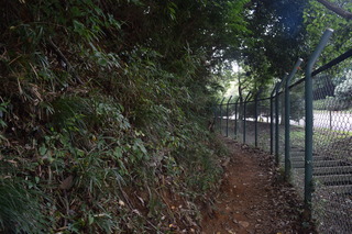 DSC_0677.JPG