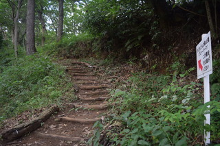 DSC_0682.JPG