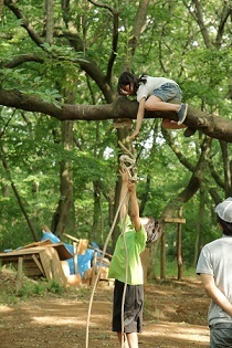 木登り.jpg