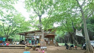 IMG_4701.JPG